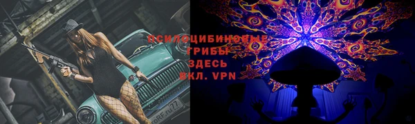 прущий лед Богородицк